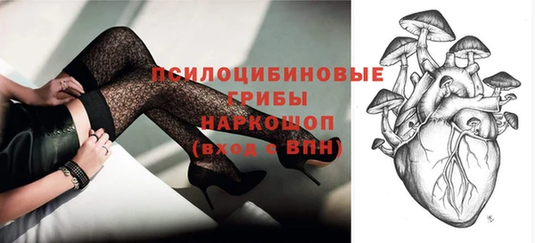 spice Алексин