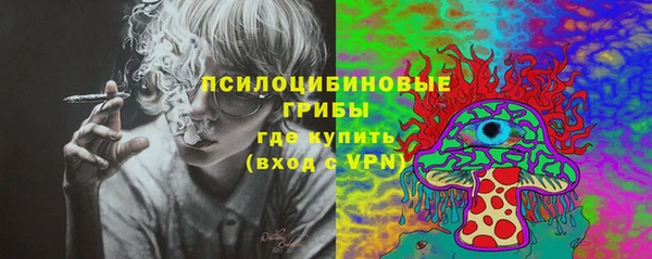 прущая мука Алзамай