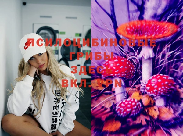 spice Алексин
