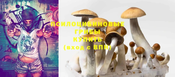 прущая мука Алзамай